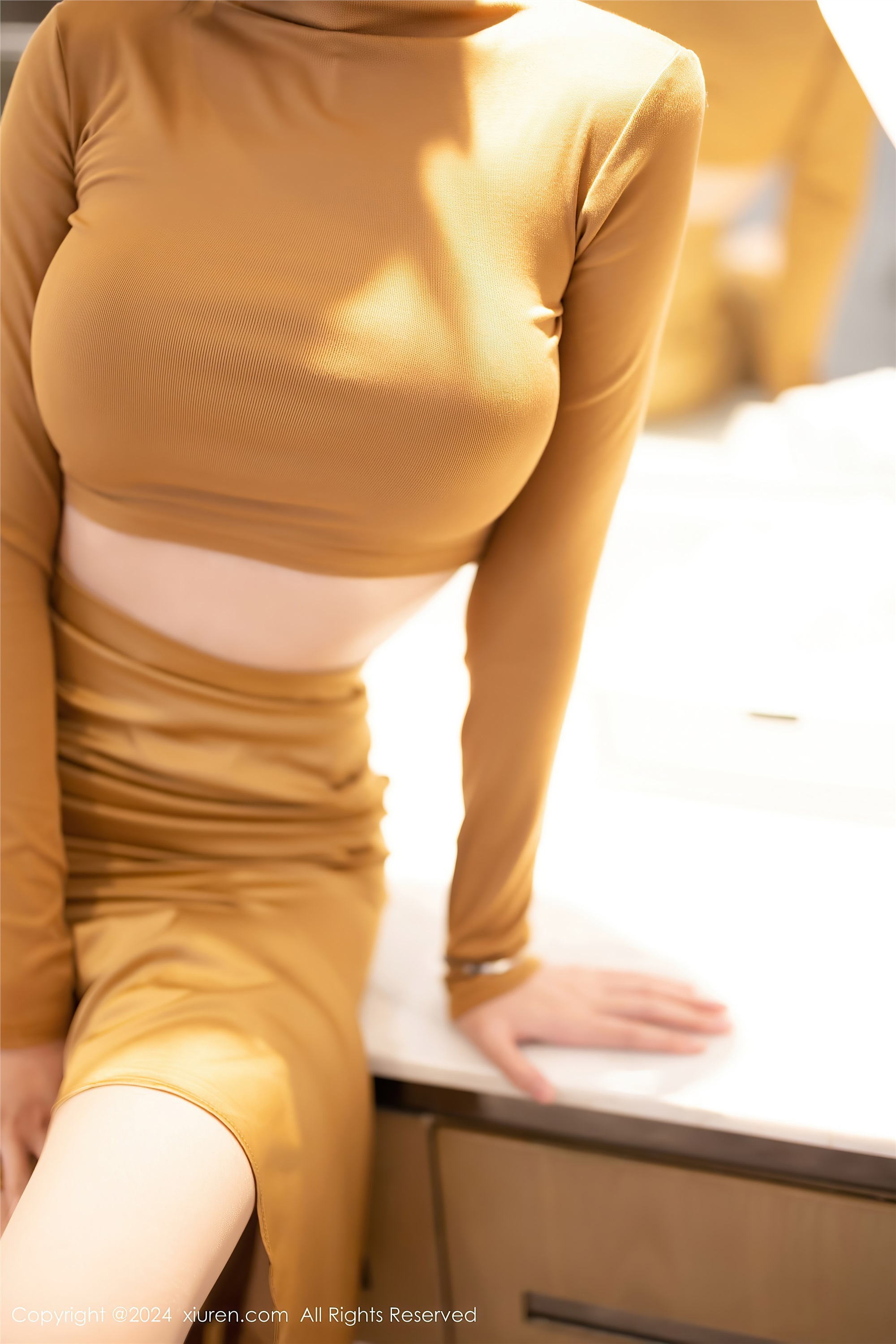 Xiuren秀人网 2024.05.21 NO.8574 玥儿玥